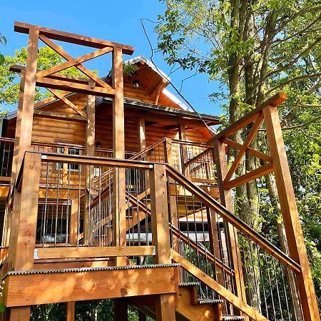 מילסבורג Cricket Hill Treehouse By Amish Country Lodging מראה חיצוני תמונה
