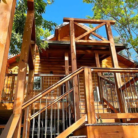מילסבורג Cricket Hill Treehouse By Amish Country Lodging מראה חיצוני תמונה